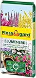 Floragard Blumenerde 1x20 L - Universalerde für Zimmer-, Balkon- und Kübelpflanzen - mit Ton und...