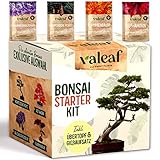 valeaf Bonsai Starter Kit I Bonsai Anzuchtset Geschenk für...