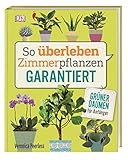 So überleben Zimmerpflanzen garantiert: Grüner Daumen für...