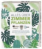 Alles über Zimmerpflanzen: Auswählen, gestalten, pflegen: Inklusive 175 Pflanzen im Porträt