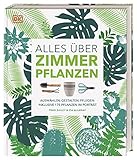 Alles über Zimmerpflanzen: Auswählen, gestalten, pflegen:...