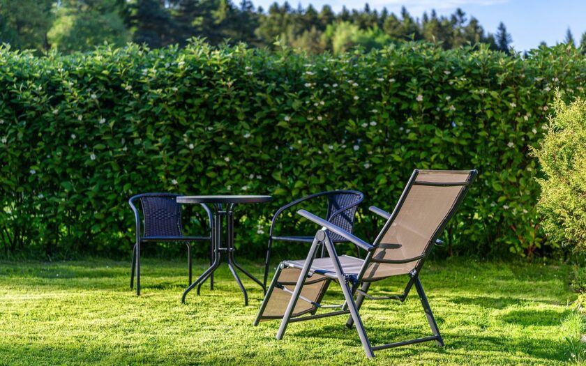Hecken pflanzen im Garten