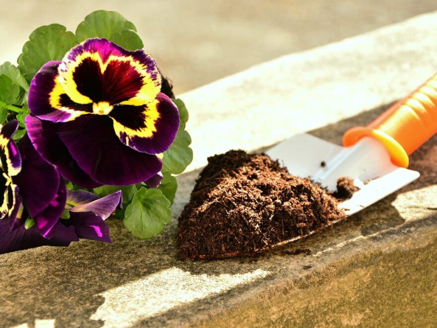 Blumenerde für Zimmerpflanzen