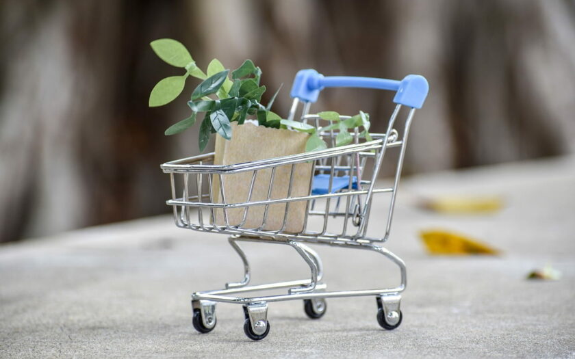 Pflanzen online kaufen