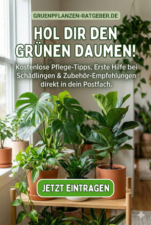 Hol dir den grünen Daumen direkt in dein Postfach! 